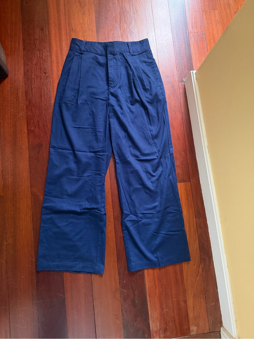 Aritzia TNA Pleated Trousers, SHORT LENGTH 5’2 & UNDER